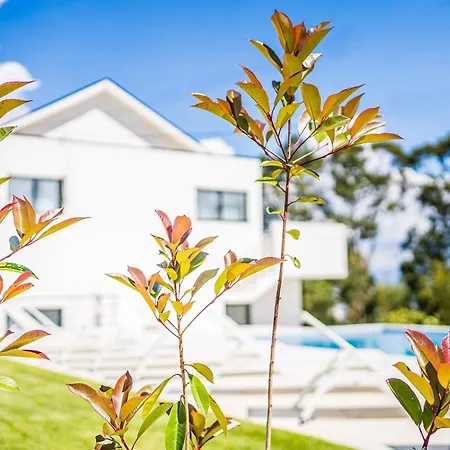 Casas Da Padaria * セロリコ・デ・バスト