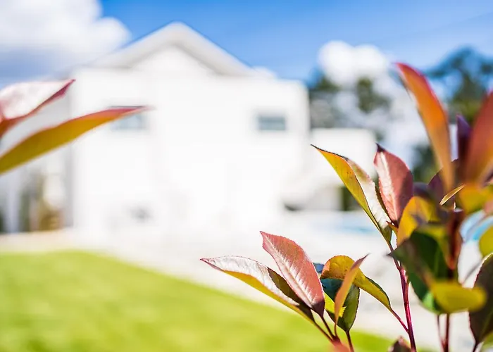 別荘 Casas Da Padaria セロリコ・デ・バスト