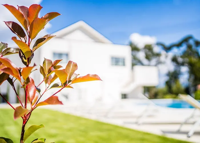 Дом отдыха Casas Da Padaria