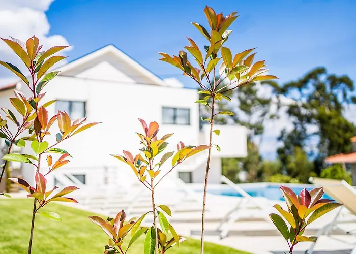 Casas Da Padaria * Селорику-ди-Башту